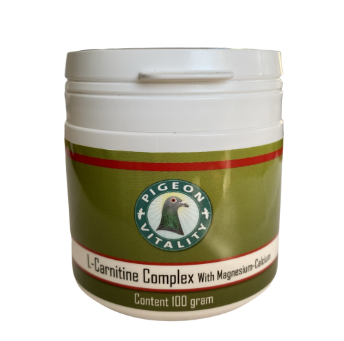 3D2EB65F-35CD-41B7-8320-ACE125986438.png