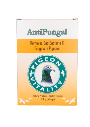 antifungalsaszetka.jpg