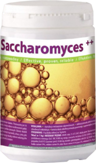 saccharomyces700.jpg