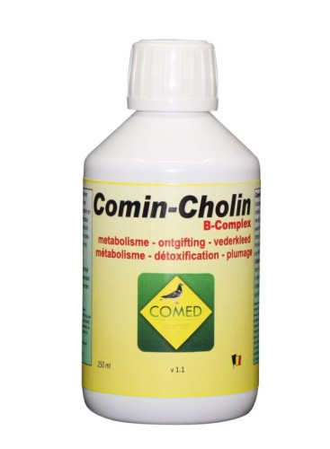 comin-cholin-250.jpg