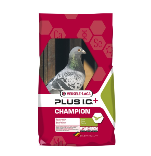 champion-plusic20.png