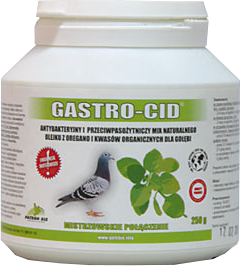gastro cid patron.jpg