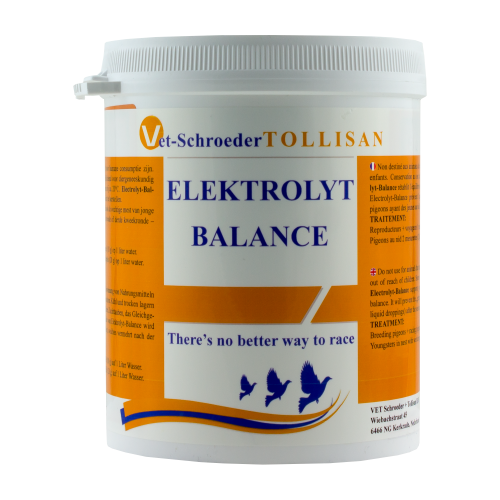 Elektrolyt-Balance-Tollisan.jpg