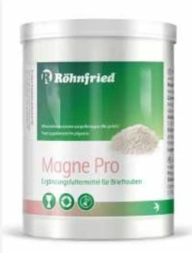 magnepro Rohnfried.png