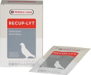 Recup-Lyt 240g - elektrolity + glukoza