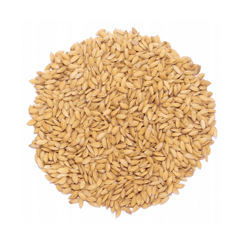 ryż paddy.png